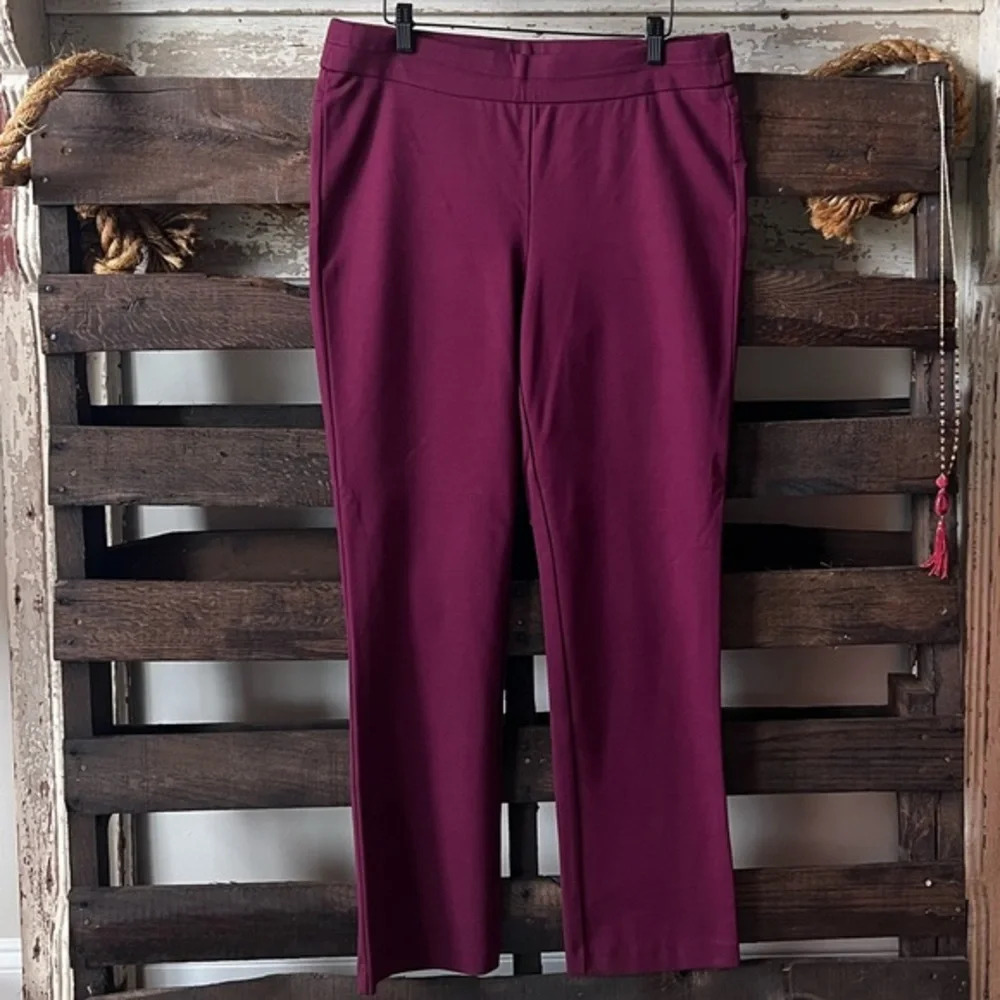 🟠BRIGGS Jegging in Wine Sz 12